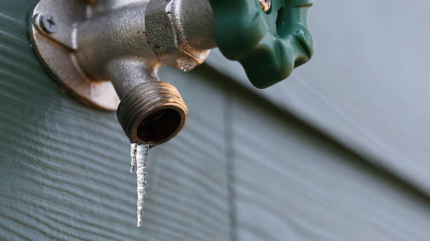 Best Clogged Drain Plumber  in Conneaut, OH