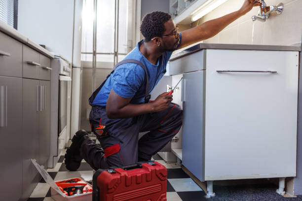 Best Local Plumber Services  in Conneaut, OH